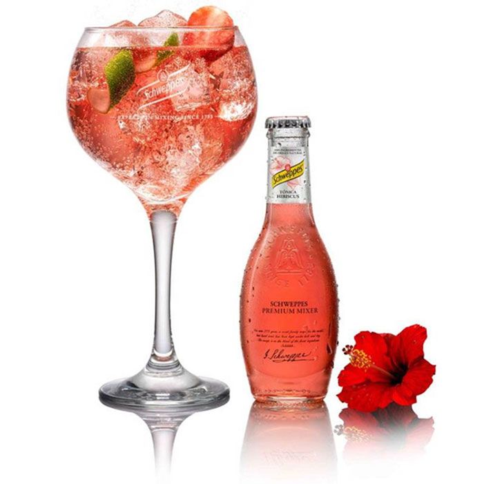 Gin Cocktail mit Schweppes